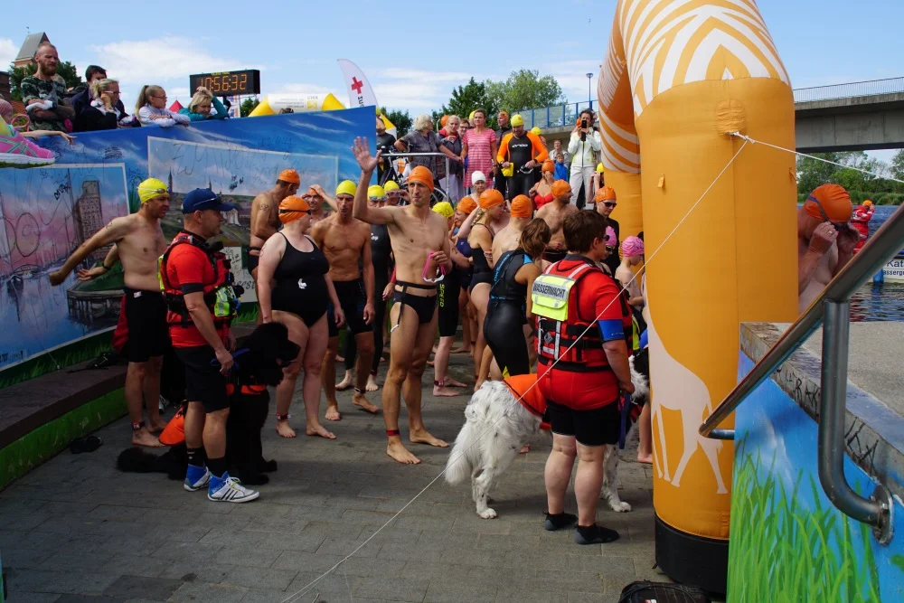 62 Schwimmer gingen im vergangenen Jahr beim Peeneschwimmen an den Start. Foto: DRK OVP