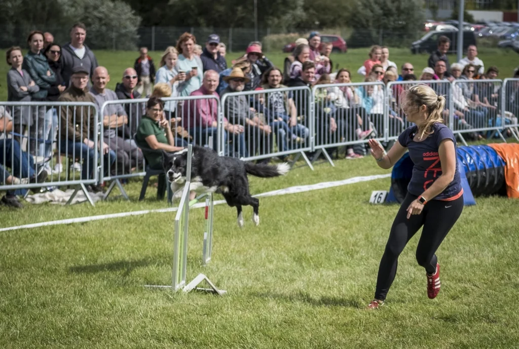 Das Hunde-Agility-Turnier findet bereits zum 5. Mal statt. © Michael Winter