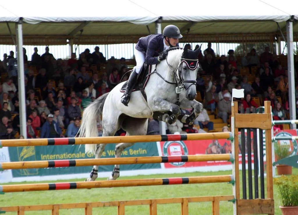 Christoph Lanske mit Cobolt 2017 in Mühlengeez. Insgesamt werden 26 Prüfungen angeboten, 17 davon im Springen. © Karl Lohrmann