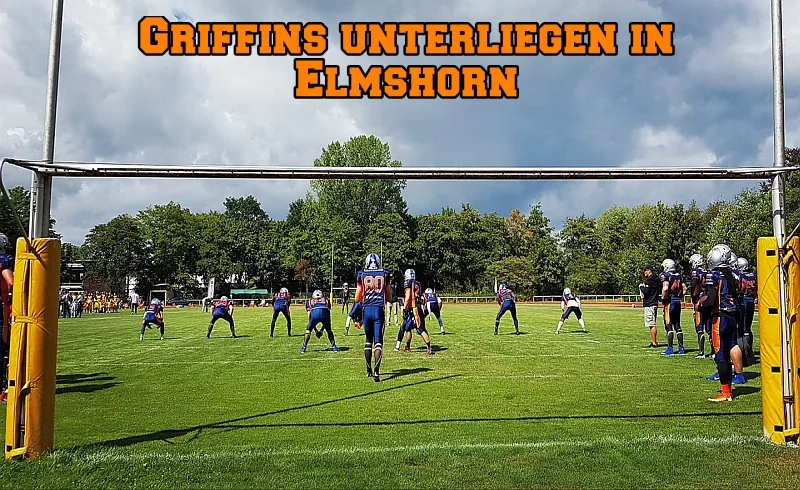 Griffins unterliegen nach starker kämpferischer Leistung