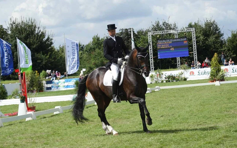 Roland Lüders konnte seinen Titel als Landesmeister verteidigen und reitet in den Schweren Prüfungen der Dressur um Siege. © Karl Lohrmann