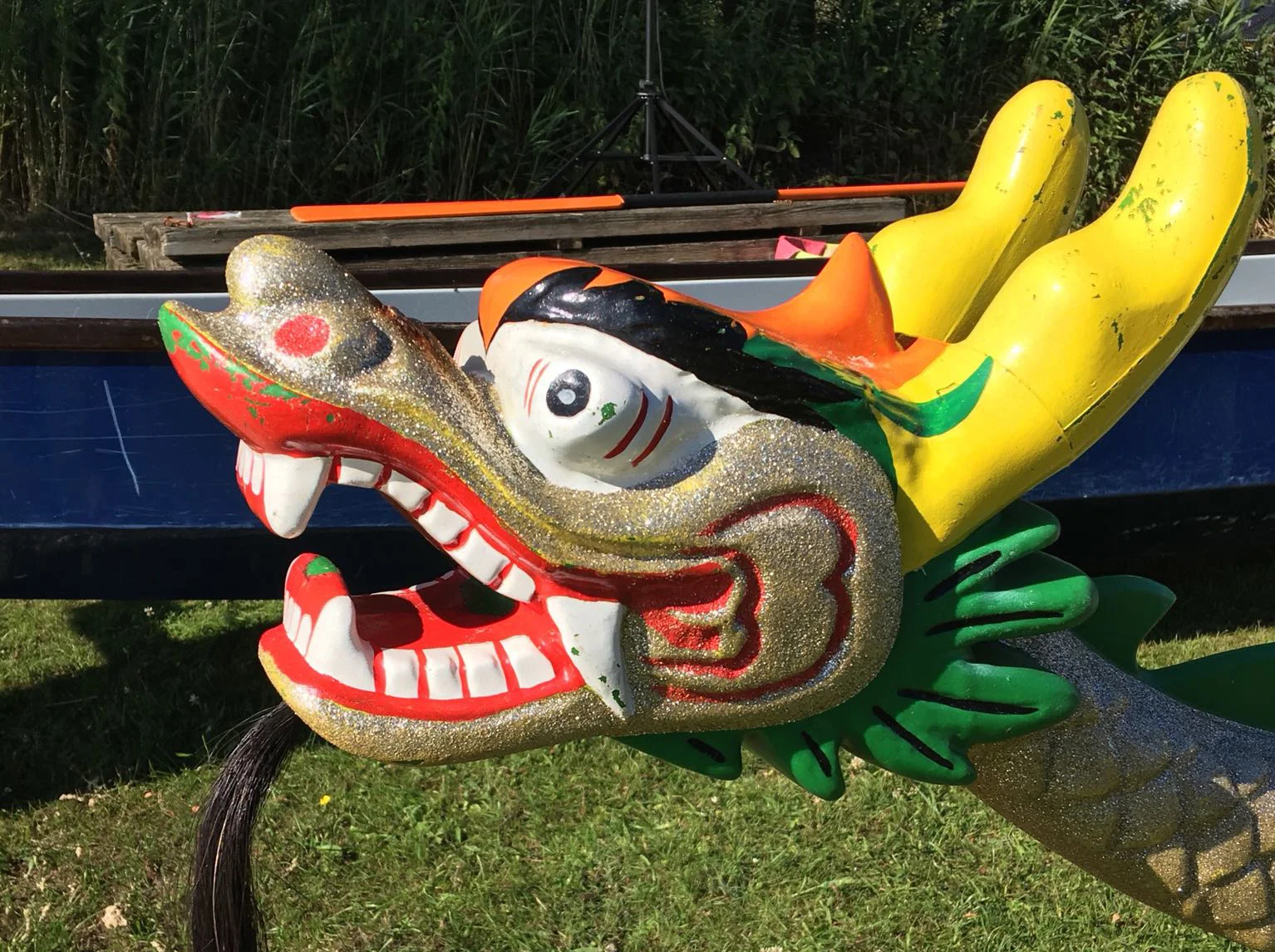 Premiere für das Drachenbootfest im Ostseebbad Binz Drachenboote