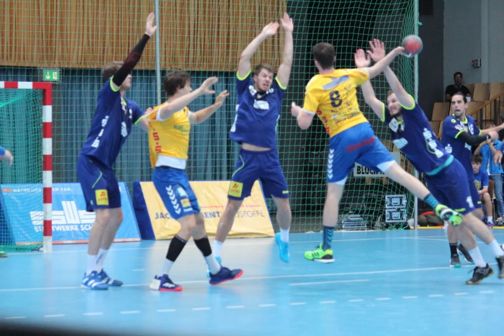 Stiere vs. (8 / Lutz Weßeling)Foto: P. Bohne