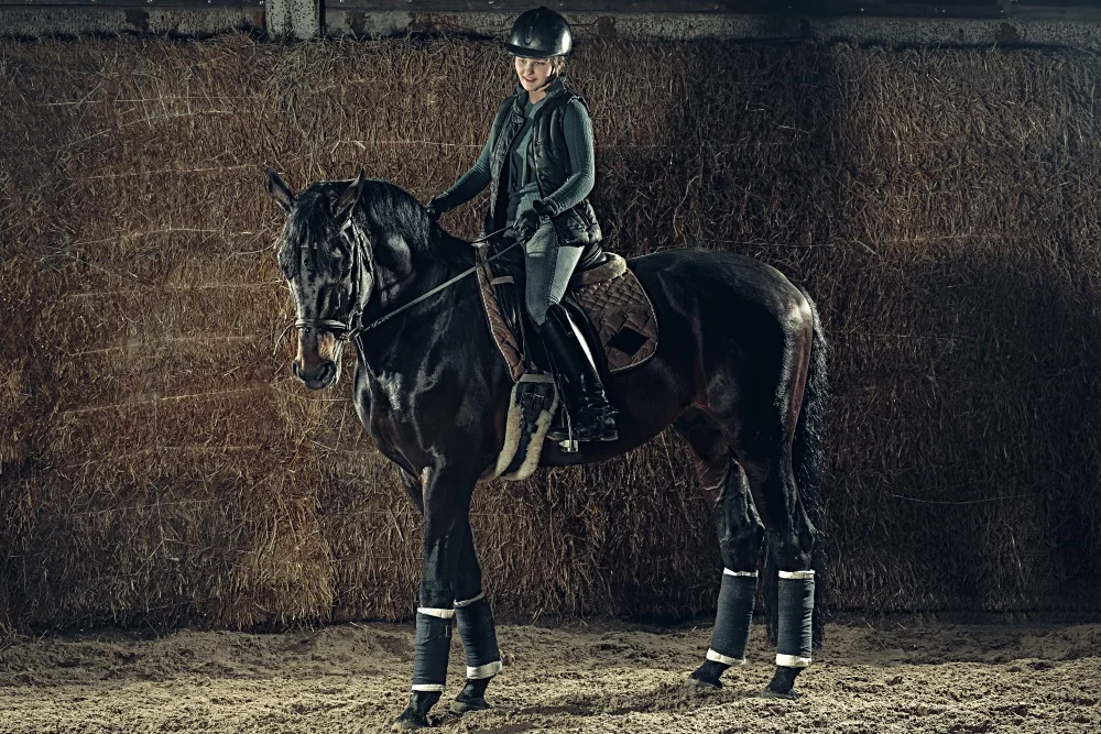 Reitsport: Landesmeisterschaften in Mecklenburg-Vorpommern
