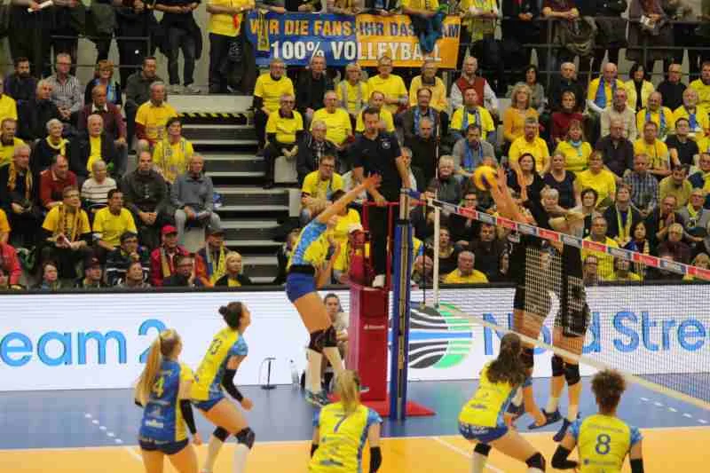SSC besiegt Suhl mit 3:0