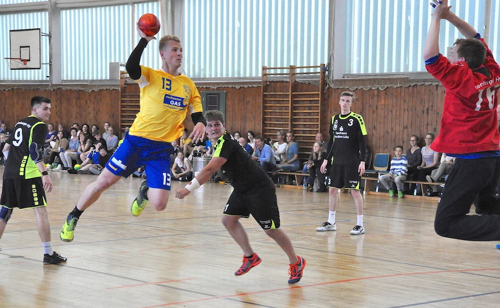 Den Handballstieren ein respektables Ergebnis abgerungen
