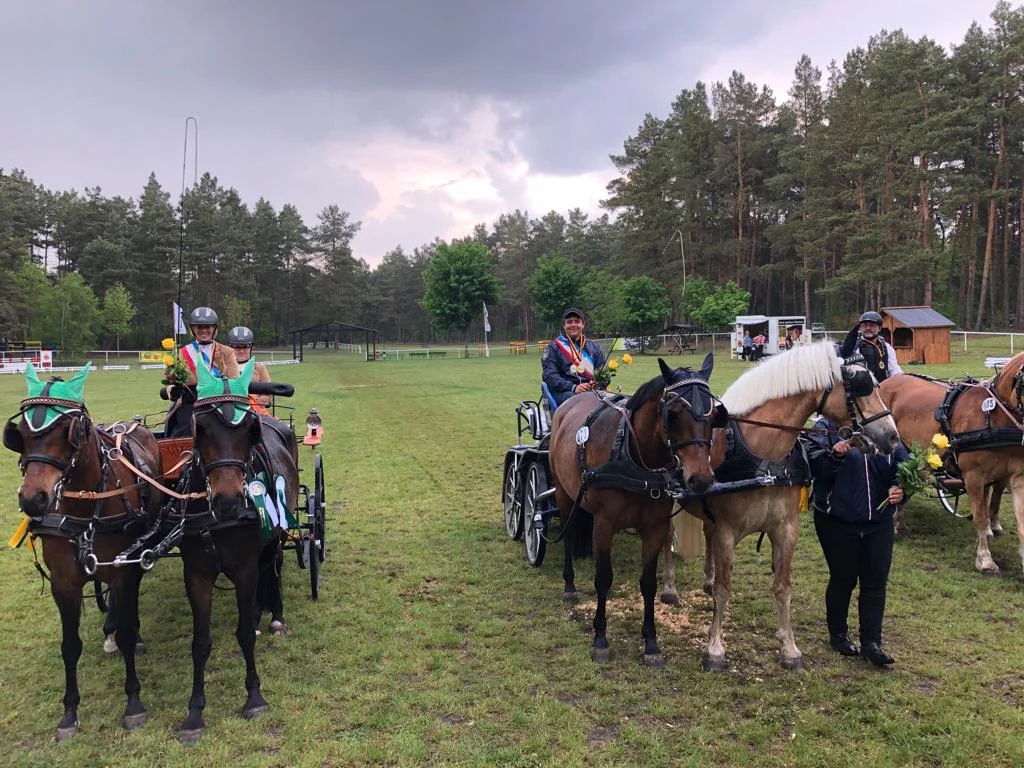 Landesmeisterin Anja Krüger in der Pony-Zweispänneranspannung und Vizelandesmeister Pony und Landesmeister Pferde Tobias Kriemann.Foto: © Familie Krüger