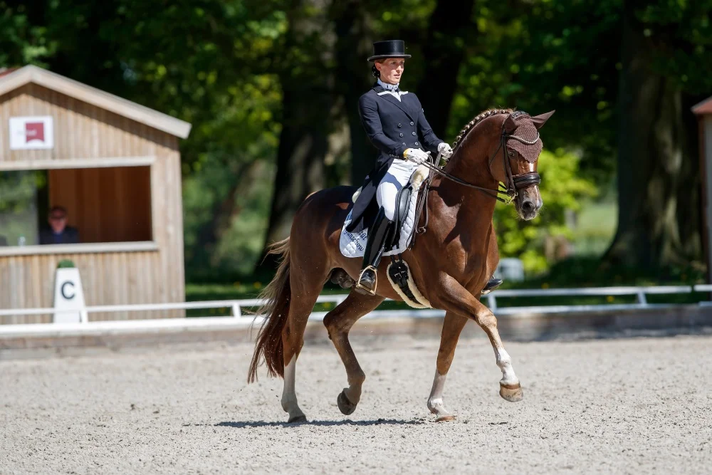 Piaffen und Pirouetten beim Pferdefestival Redefin