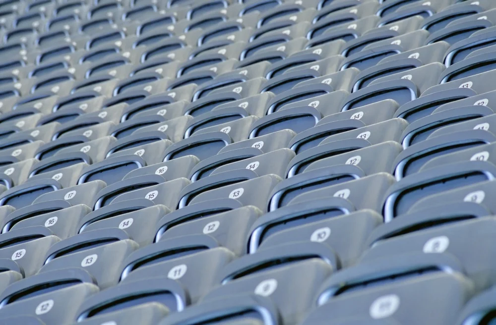 Jungstiere wollen in die Bundesliga