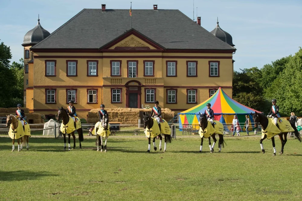 Die LM VS 2019 vor dem Gut Hohen Luckow (v.l.n.r. Schaepe, Brandt, Range, Kalis, Denkewitz, Donst) – Foto: © Frank Hafemann