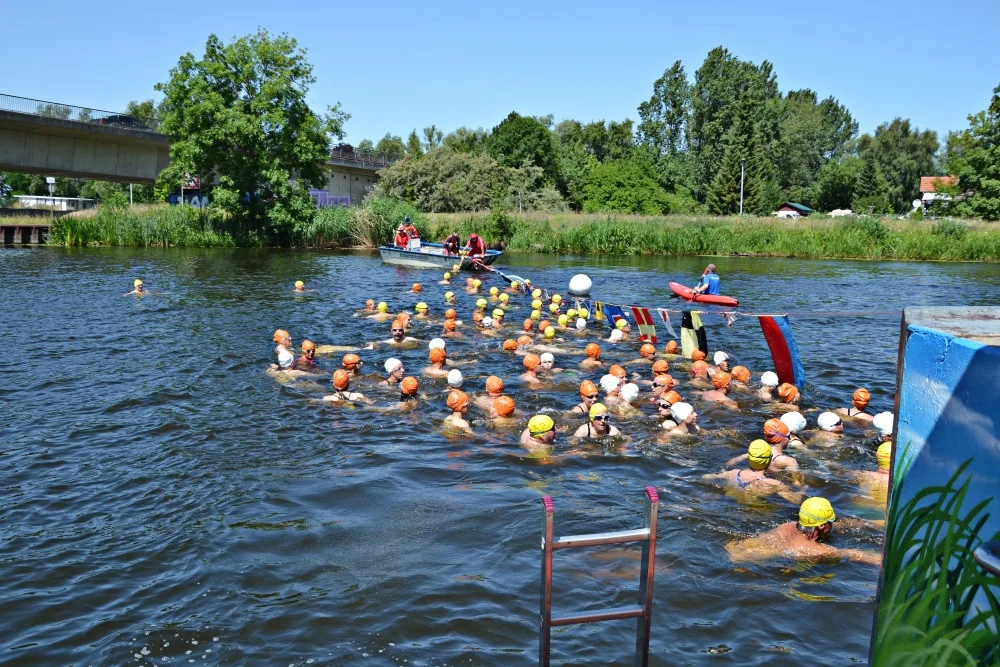Teilnehmerrekord beim Peeneschwimmen. Foto: Thomas Scharwe
