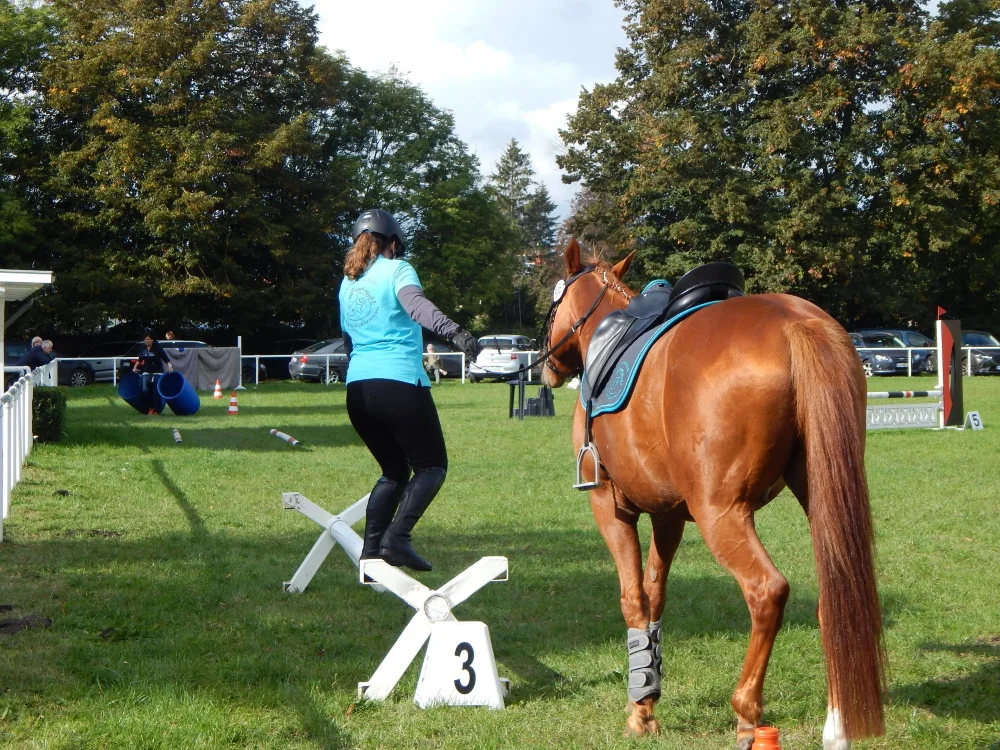 19. Landesbreitensport-Festival in Güstrow