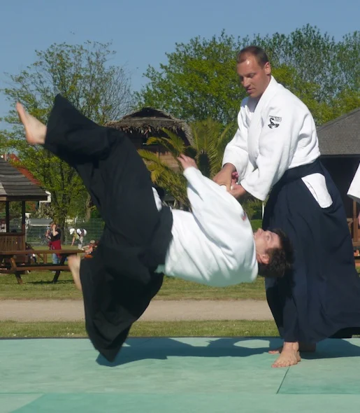 WARUM AIKIDO?