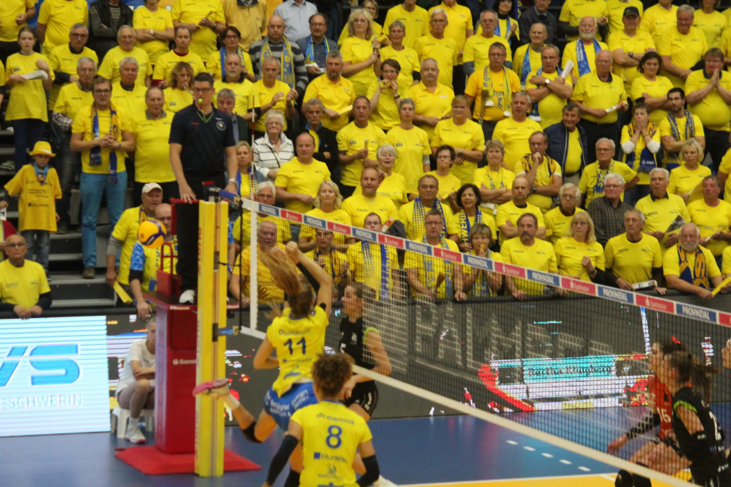 SSC schlägt Straubing mit 3:0