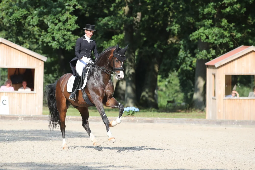 Libuse Mencke mit Syrio bei den Landesmeisterschaften Dressur 2019 im Landgestüt Redefin. Foto: ACP Andreas Pantel Libuse Mencke mit Syrio bei den Landesmeisterschaften Dressur 2019 im Landgestüt Redefin. Foto: ACP Andreas Pantel