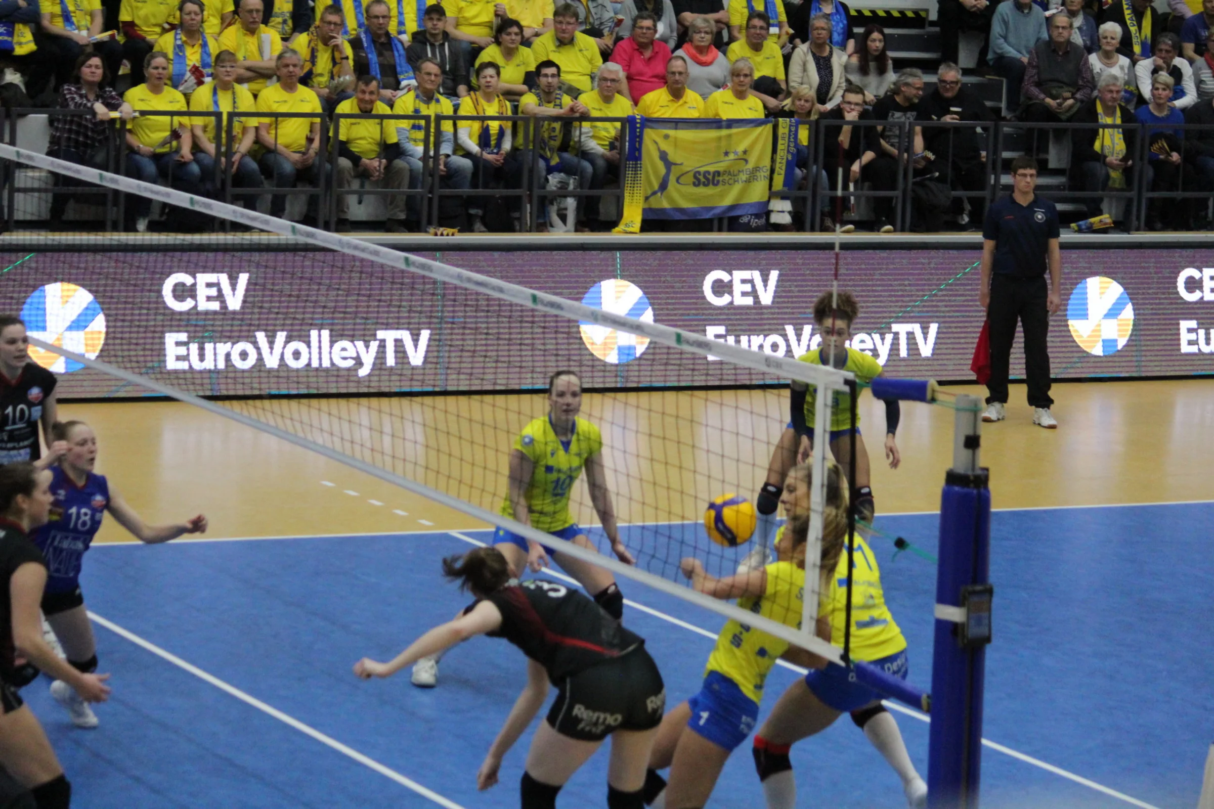 SSC mit Heimsieg im CEV-Cup