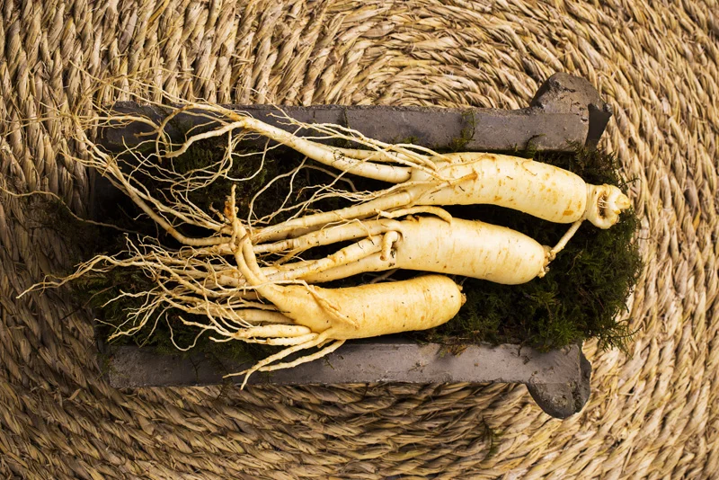Ginseng - das Wundermittel für Sportler statt Doping | Stockfoto: envato elements