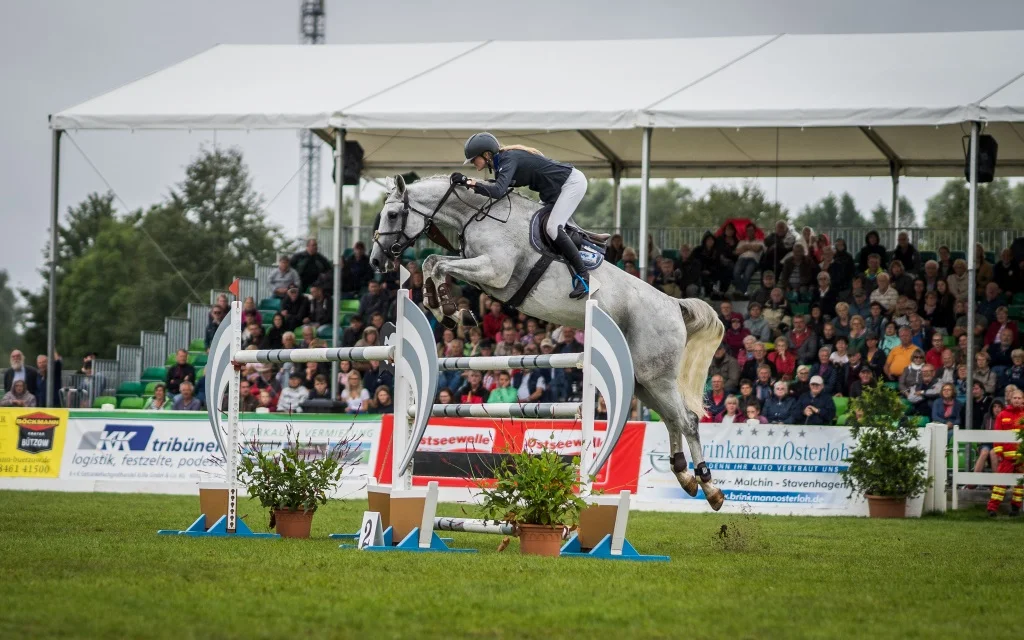 Denise Svensson auf Carina beim Pferd+Hund-Turnier 2019 Foto: Brügmann
