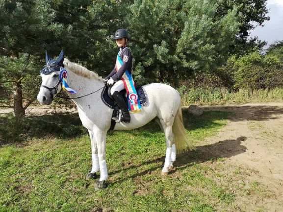 Landesmeister im Vielseitigkeitsreiten gekürt