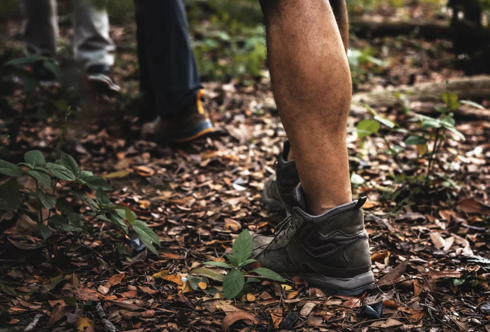 Menschen Trekking im Wald