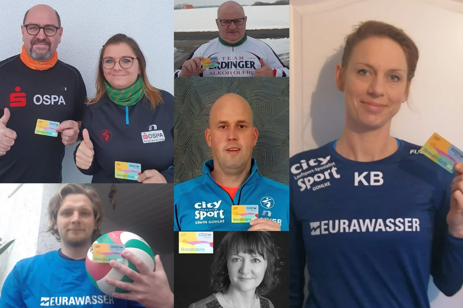 Die Collage zeigt Ehrenamtler des SC Laage. Collage: Falk Bartusch
