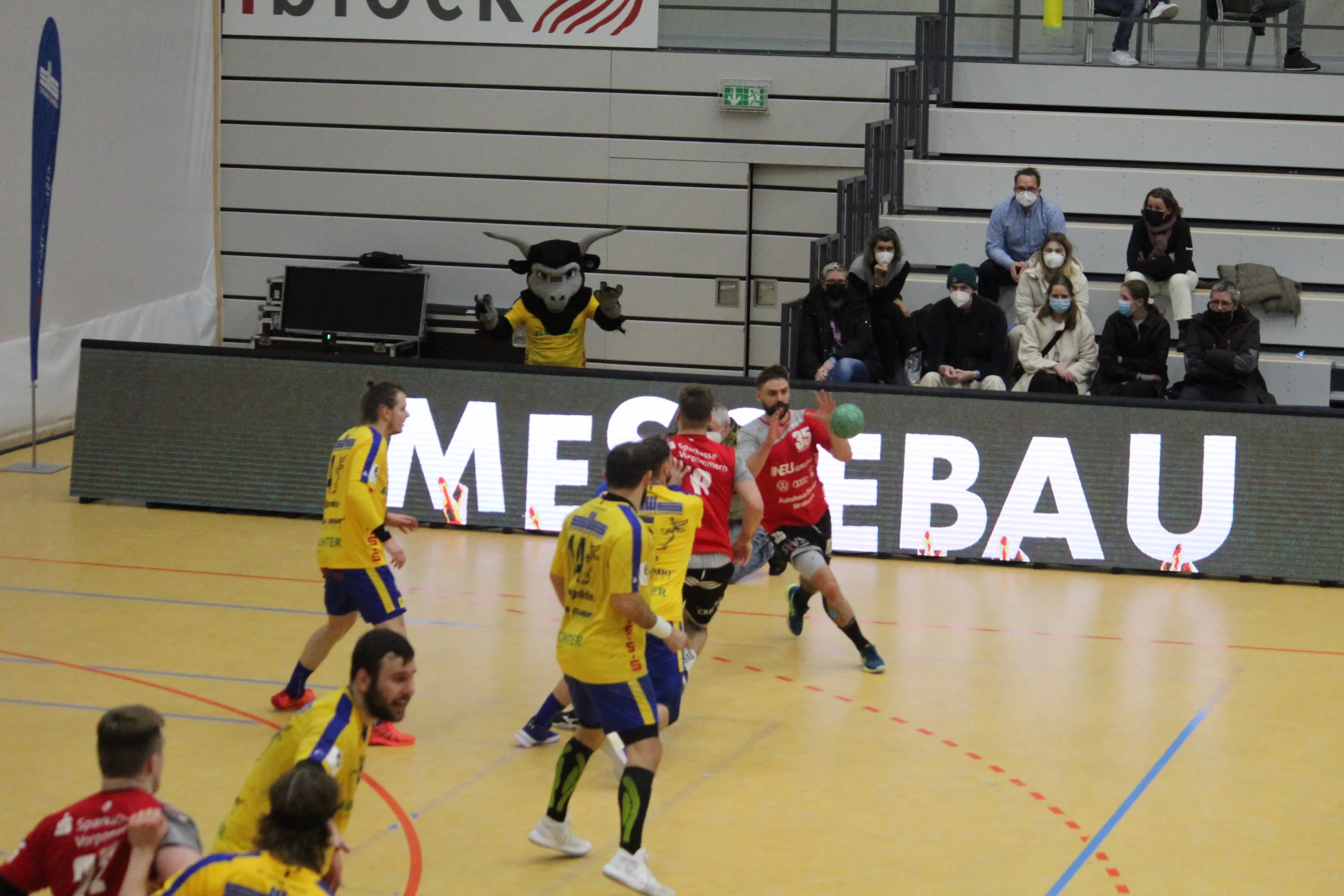 Stiere vs. StralsundFoto: P. Bohne