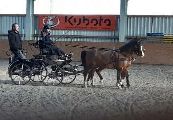 Foto: Elke Spierling Landestrainertag im Fahrsport | Foto: Elke Spierling
