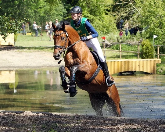 Mit dem gekörten Trakehner Hengst Karlsson aus dem Gestüt Ganschow wurde die 20-jährige Paula Fatteicher (Neuendorf) Landesmeisterin der U25 Reiter in Klasse L. Foto: © Jutta Wego