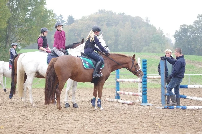 Dressur- und Springlehrgang mit Andreas Brandt in Marlow