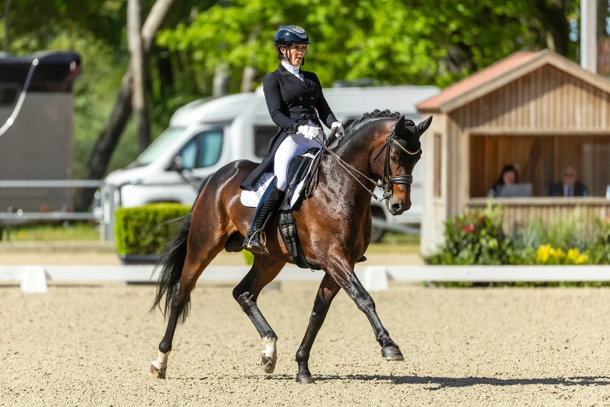 Dressurreiterin auf braunem Hengst