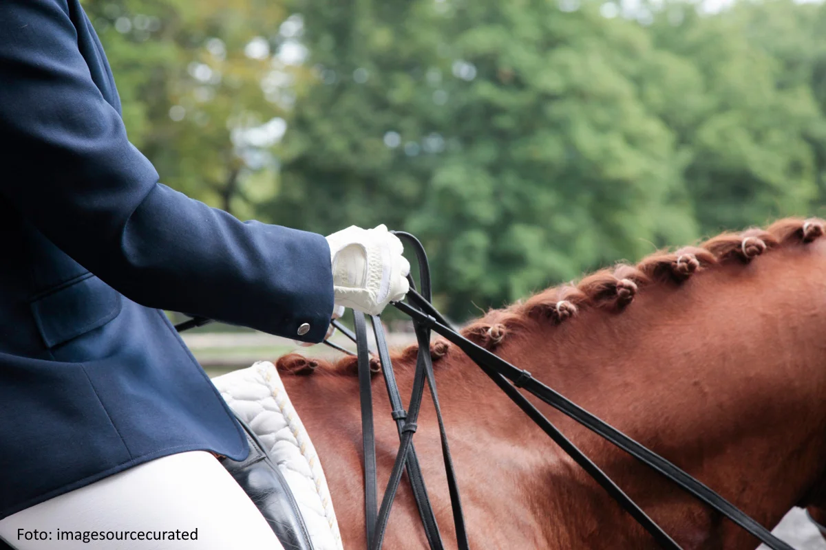 Lily Schrenk erste Siegerin in der Femfert Dressage Trophy