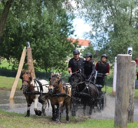 Die 16-jährige Lotta Zühlke startete erstmals in einer Kombinierten Pony-Prüfung Klasse M. (Foto: Hippothek/ Franz Wego)