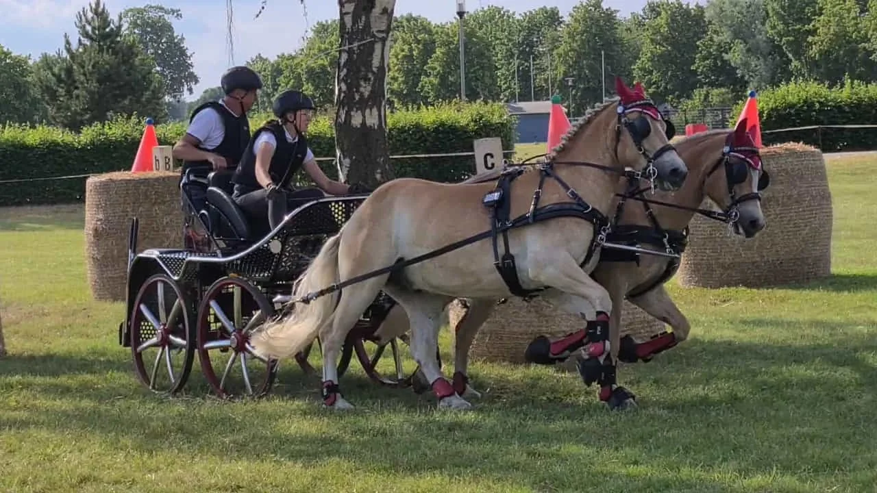 Vorbereitung zur Deutschen Jugendmeisterschaft Fahren