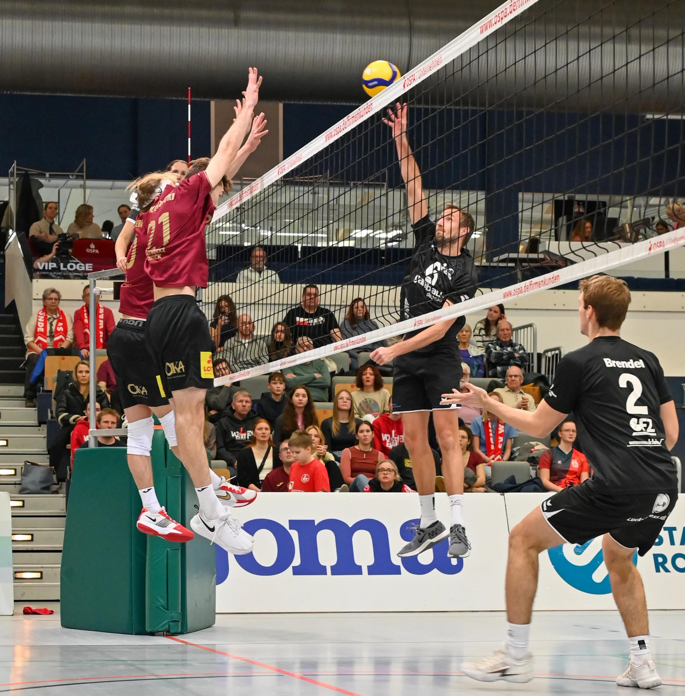 SVW im Derby gegen die Adler