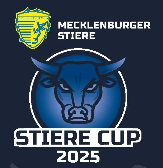 Spitzenhandball beim Stiere Cup 2025