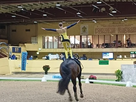 Team Ostseeküste überzeugt beim CVI Flyinge in Schweden