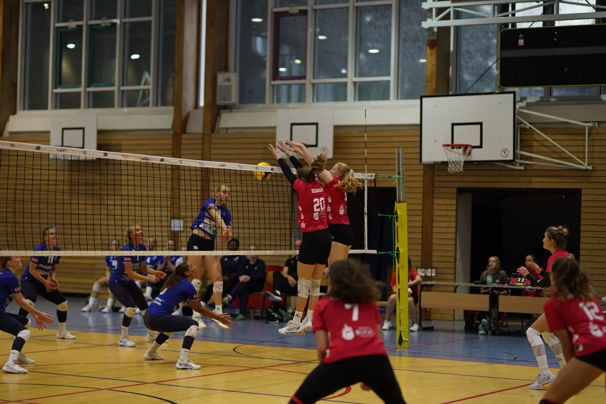 Heimspielstart für Sparkassen Wildcats Stralsund