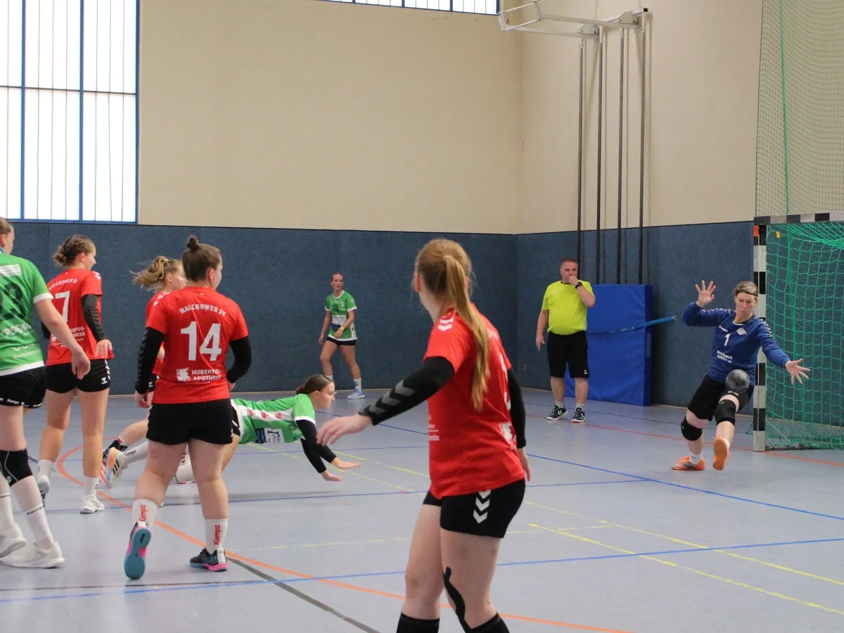 Malchower Handballteams siegreich in eigener Halle