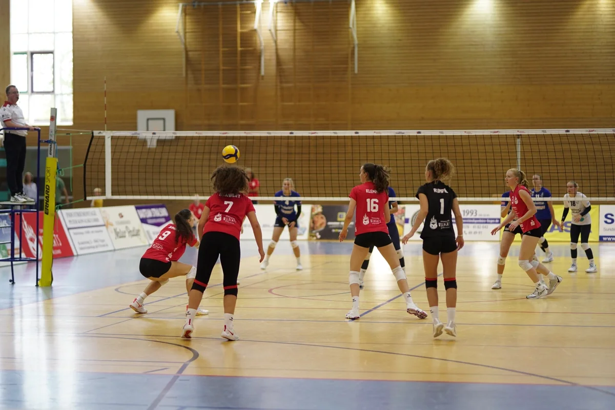 Sparkassen Wildcats streben ersten Heimsieg an