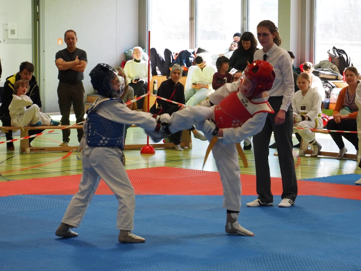 HSG Greifswald gewinnt Teamwertung beim Taekwondo Starter Cup