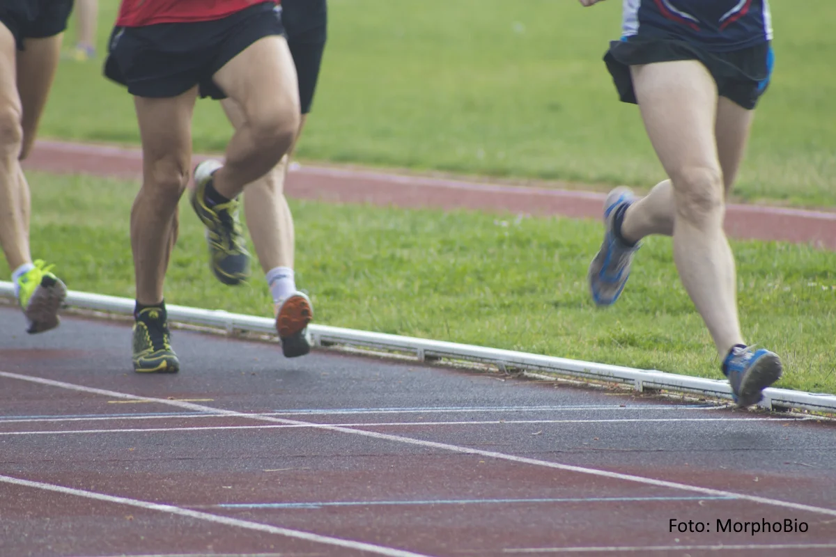 „Ohne Muskeln geht es nicht“ – Spendenlauf Myositis
