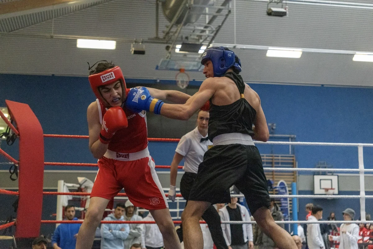 Greifenpokal macht Rostock erneut zur Box-Hochburg