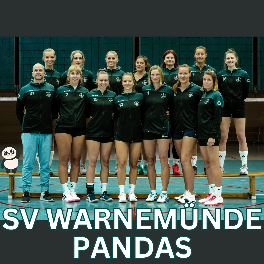 Panda Heimspiel
