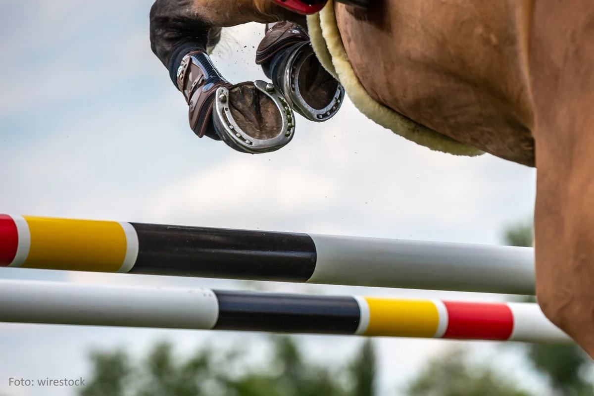 Pferd beim überspringen eines Hindernisses