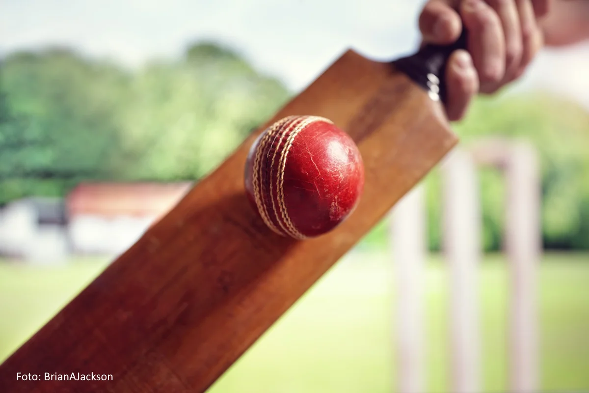 Greifswalder Cricket Day