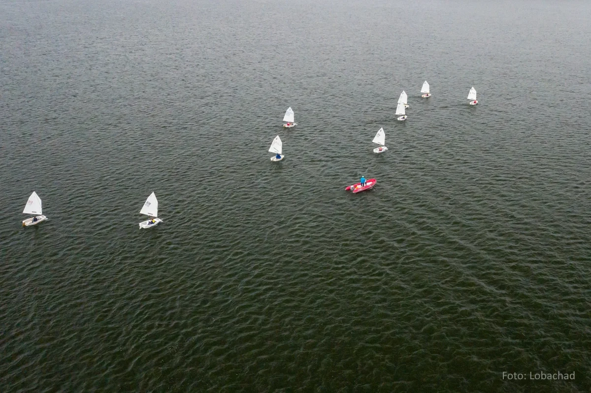 Draufsicht auf eine Segelregatta mit Ein-Personen-Booten