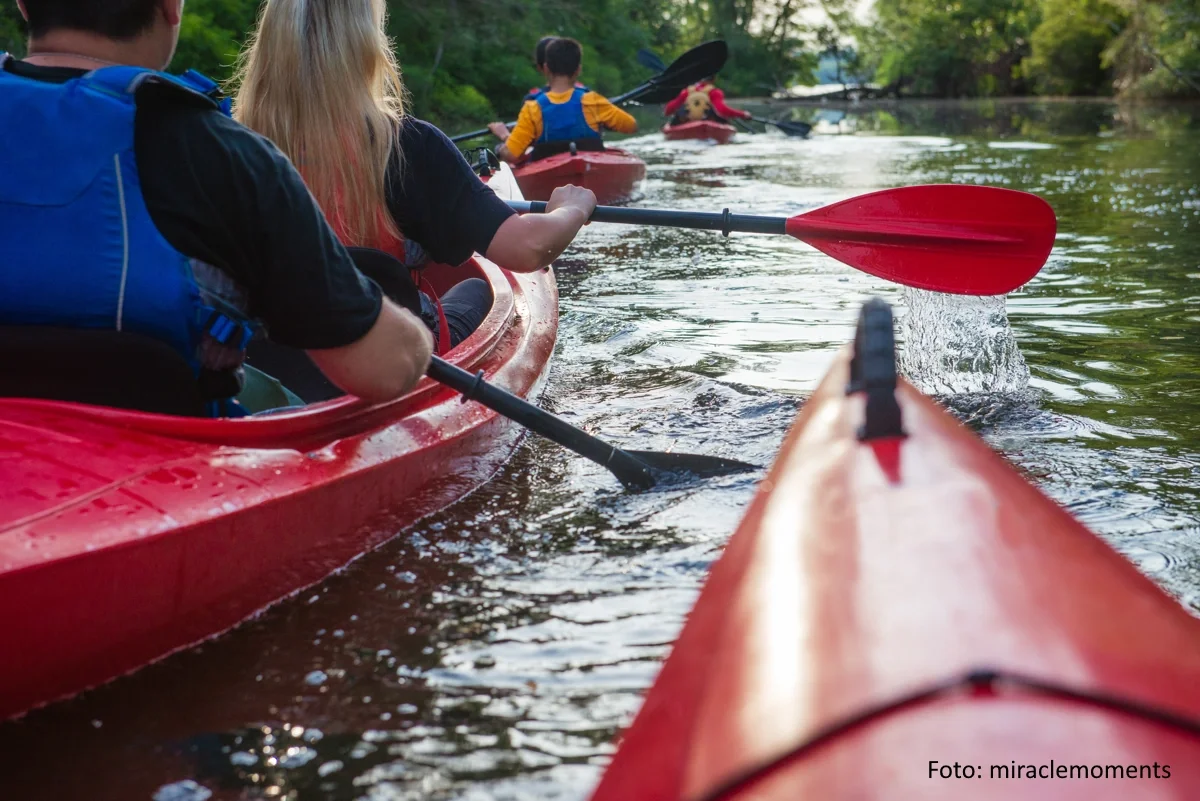 Gruppe von Eine Menschen fährt in mehreren roten Kajaks einen bewaldeten Fluss entlang.