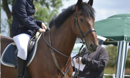 Landesmeisterschaften der Pferdesportler in M-V setzen in der Saison 2020 aus
