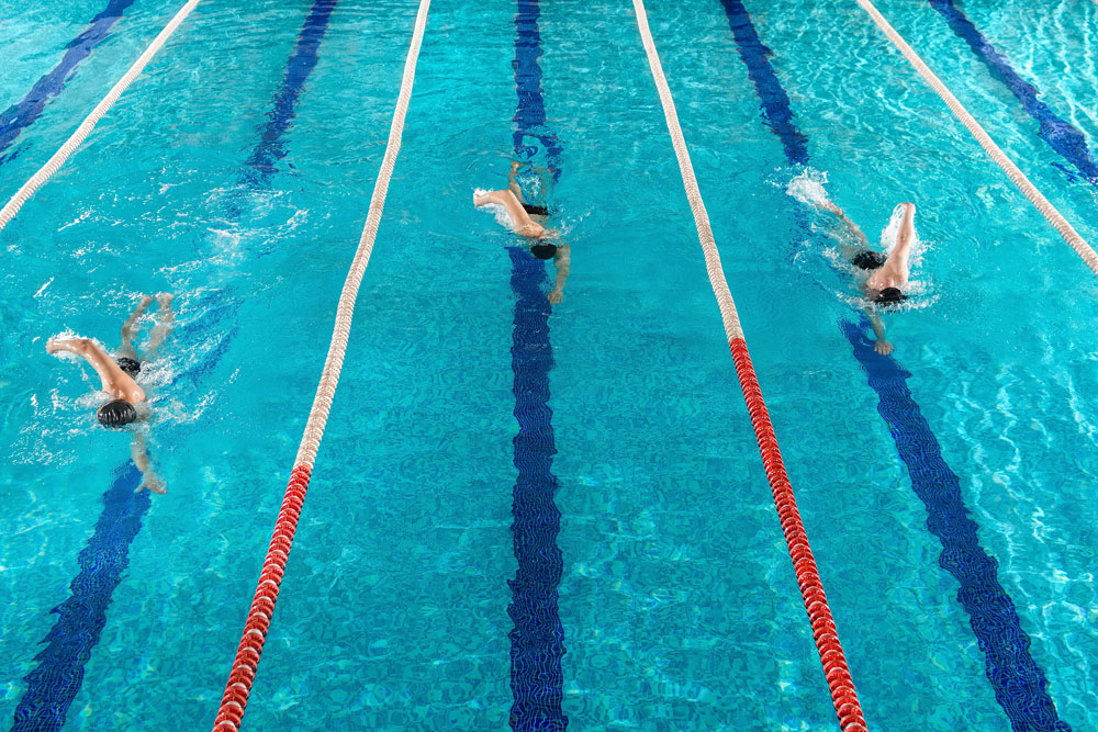 Drei Schwimmer ziehen ihre Bahnen im Becken