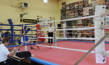 Kinder- und Jugendsportspiele: Box-Turnier in Stralsund